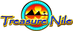 TreasureNile logo 1