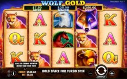 Wolf Gold 1 e1534933661955