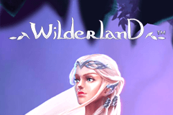 Wilderland logo