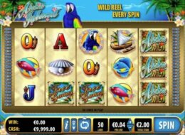 Aloha Island 1 e1538475294624