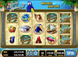 Aloha Island 3 e1538475319122