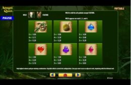 Amazon Queen 2 e1537862754671