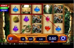 Amazon Queen 3 e1537862770670