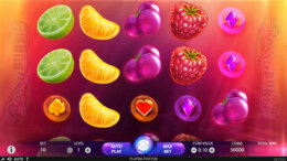 Berryburst Slot 2