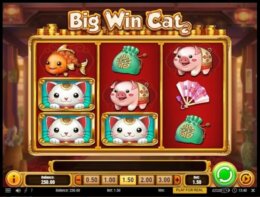 Big Win Cat 1 e1537253215815