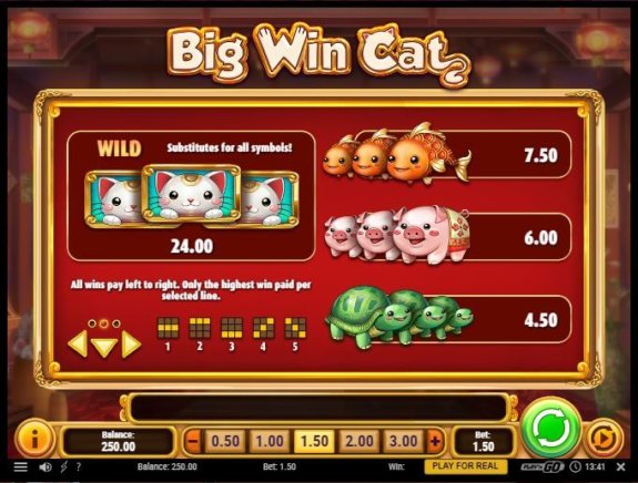 Big Win Cat 2 e1537253224624