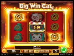 Big Win Cat 3 e1537253232374