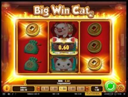 Big Win Cat 3 e1537253232374