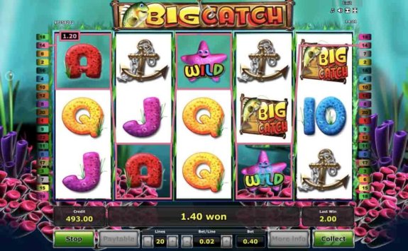 BigCatch Win copy e1534163107633