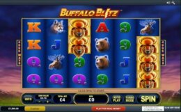 Buffalo Blitz 1 e1538473688208