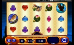 Buffalo Spirit 1 e1538638031621