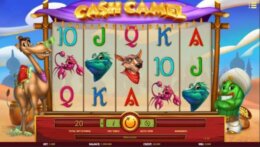 Cash Camel 1 e1538038290483