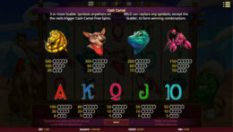 Cash Camel 2 e1538038302532