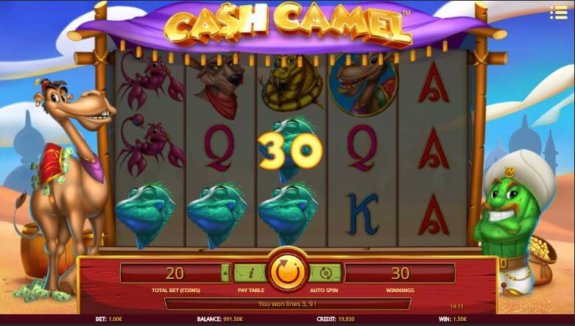 Cash Camel 3 e1538038313231