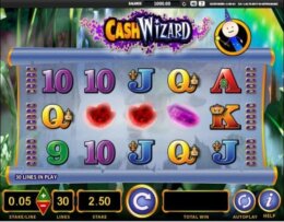Cash Wizard 1 e1538047492374