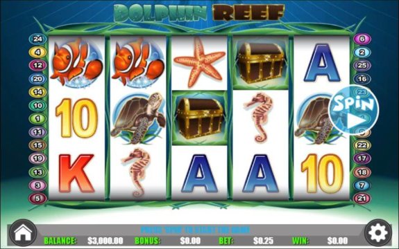 Dolphin Reef 1 e1538406653720