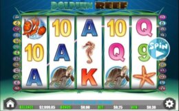 Dolphin Reef 3 e1538406672359