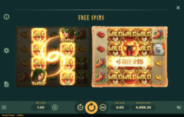 Druids Dream Paytable e1601458999342