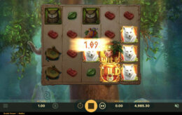 Druids Dream Wild e1601458986651