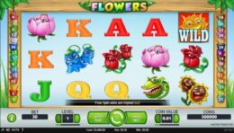 Flowers 1 e1536661725654