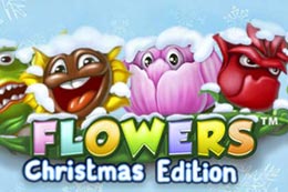Flowers Christmas Edition thumb