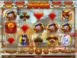 Fortune Dogs 1 e1535377646452