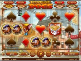 Fortune Dogs 3 e1535377680558