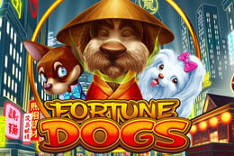 FortuneDogs thumb