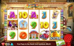 Foxin Wins 1 e1538479948580