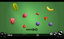 Fruit Wrap 1 e1538913629986