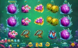Fruitoids 1 1 e1536815009602
