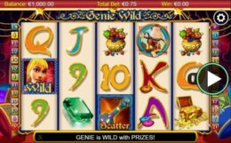 Genie Wild 1 e1538559694316