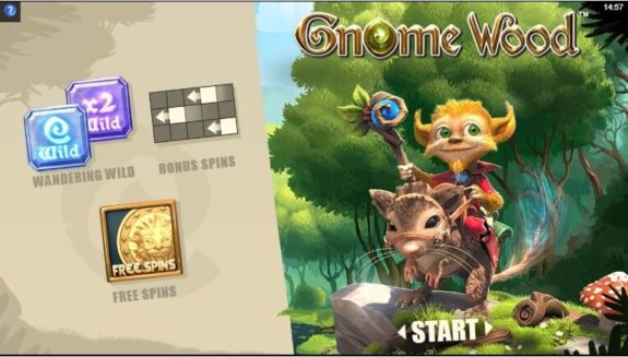 Gnome Wood 1 e1534407390136