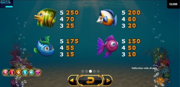 Golden Fishtank 2 e1538016088844