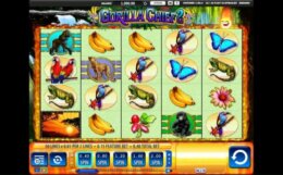 Gorilla Chief 2 1 e1539601987193