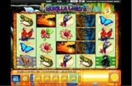 Gorilla Chief II 1 e1546484407825