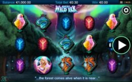 Great Wild Elk 1 e1539068003913