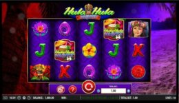 Hula Hula Nights 1 e1539659873170