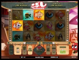 Kobushi 3 e1538998378559