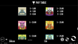 Luchadora 2 e1539005336758