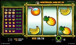 Monkey Madness 3 e1535108867731
