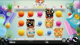 Not enough Kittens 1 e1539308835704