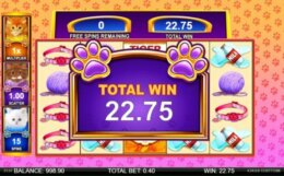 OMG Kittens 3A e1540908181677