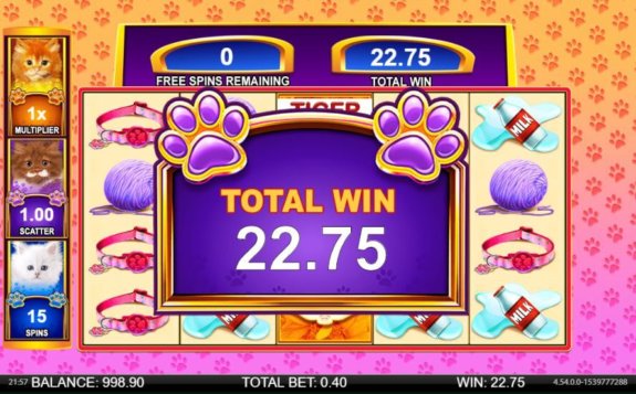 OMG Kittens 3A e1540908181677