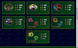 Owl Eyes 2 e1539309286149