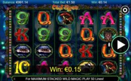 Owl Eyes 3 e1539309295810