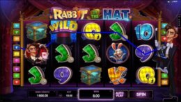 Rabbit in the Hat 3 e1535514645281