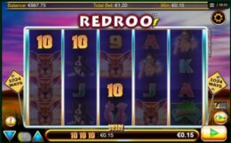 RedRoo 3 e1534767070956