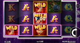 Rockabilly Wolves Win