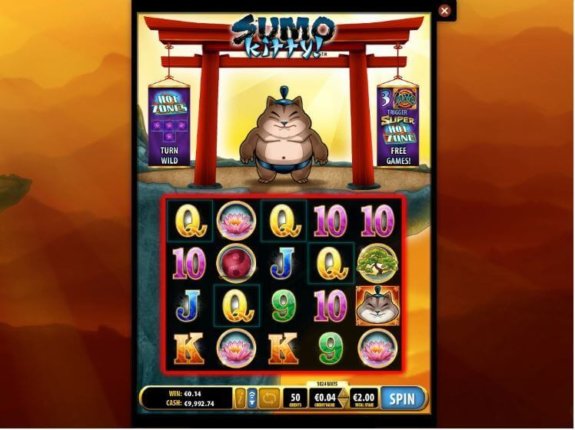 Sumo Kitty 3 1 e1542810993491